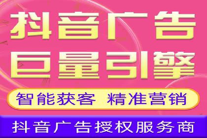 SEM代理助力品牌：案例解析与优化策略